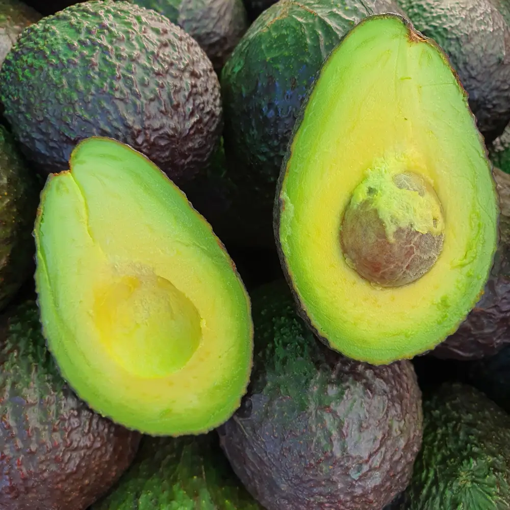 Aguacates frescos enteros y partidos, mostrando su pulpa cremosa y vibrante.