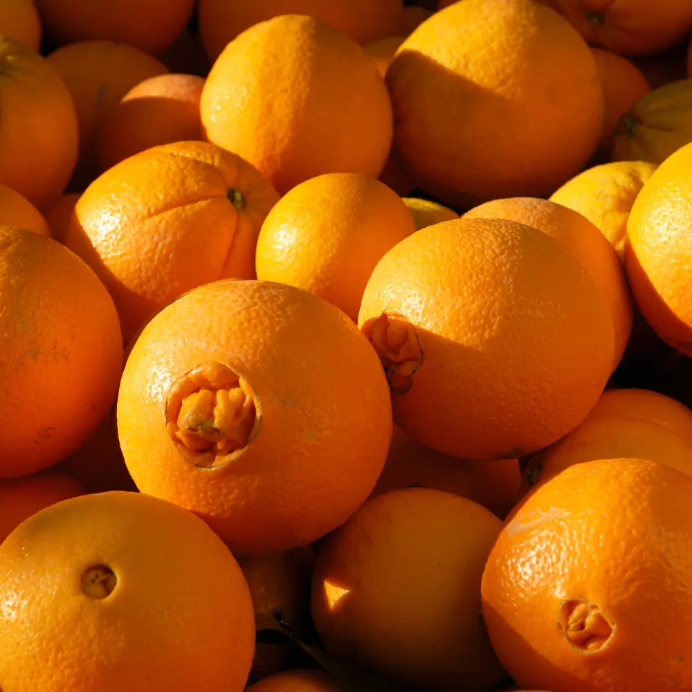 Detalle de naranjas Navelinas con el ombligo característico, ideales para zumo y consumo diario por su sabor dulce y jugoso.
