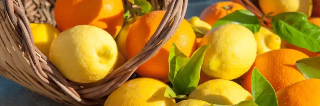 Cesta rústica con naranjas y limones frescos en un entorno soleado
