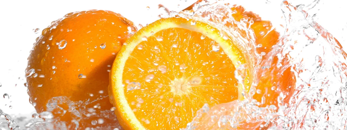 Naranjas frescas Valencia de Naranjas Escrivà