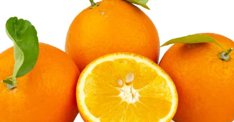 Naranjas Valencia Late sobre fondo blanco con una mitad al centro