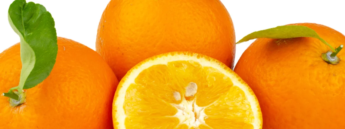 Naranjas Valencia Late listas para envío directo desde la finca