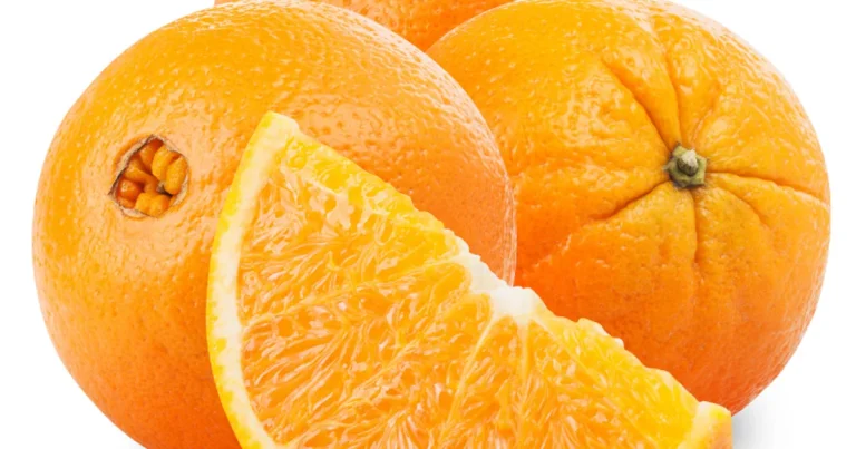 Naranjas de zumo valencianas en su punto de madurez, campaña 2025-26