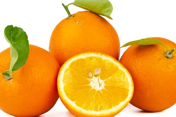 Naranjas valencianas enteras maduras en la finca de Escriva